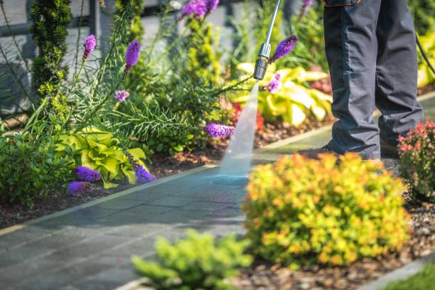 Best Parking Lot Cleaning in Sudley, VA