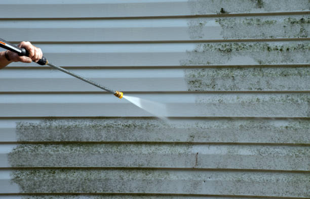 Best Roof Cleaning and Mildew Removal in Sudley, VA